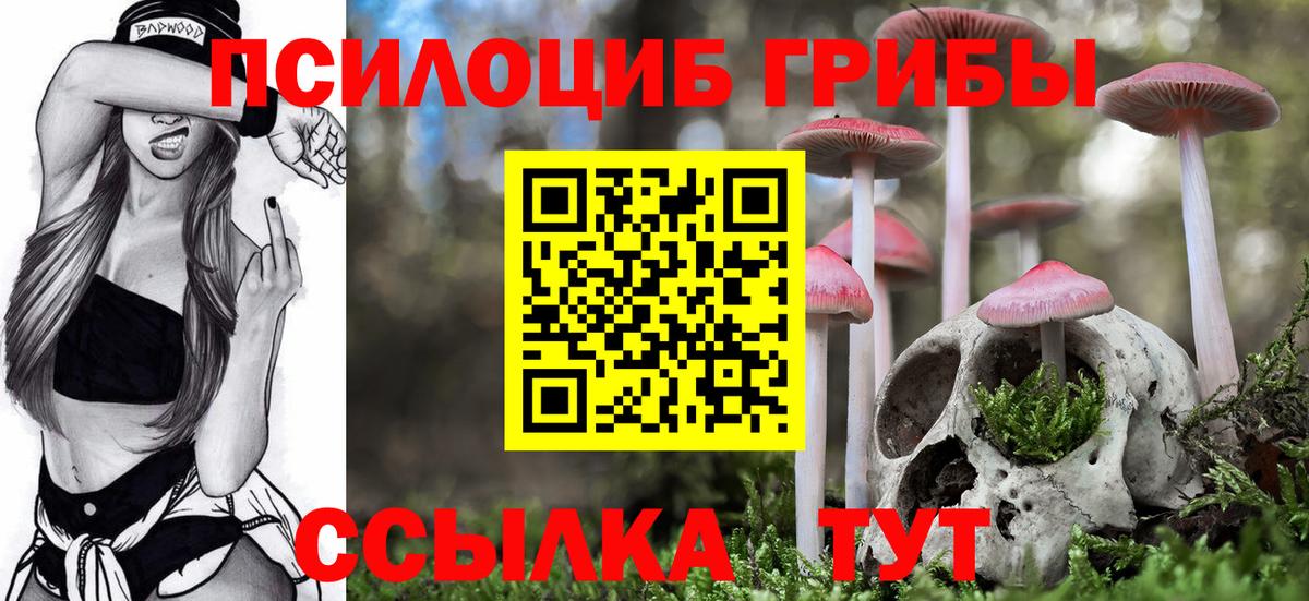 Осинники  Галлюциногенные грибы ЛСД  Вход с VPN 